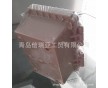 防水防火配电箱箱体韩国BOXCO