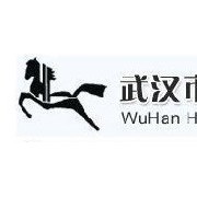 武汉市黑飞马化工原料有限公司