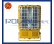 BTC6150防爆灯250W