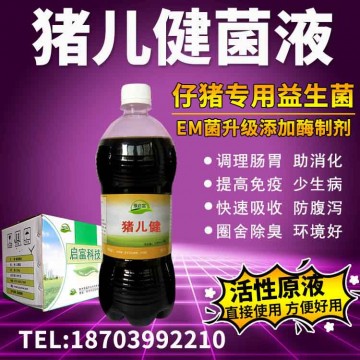 用什么养猪可以使猪吃的香拉屎不臭养猪em菌液用法